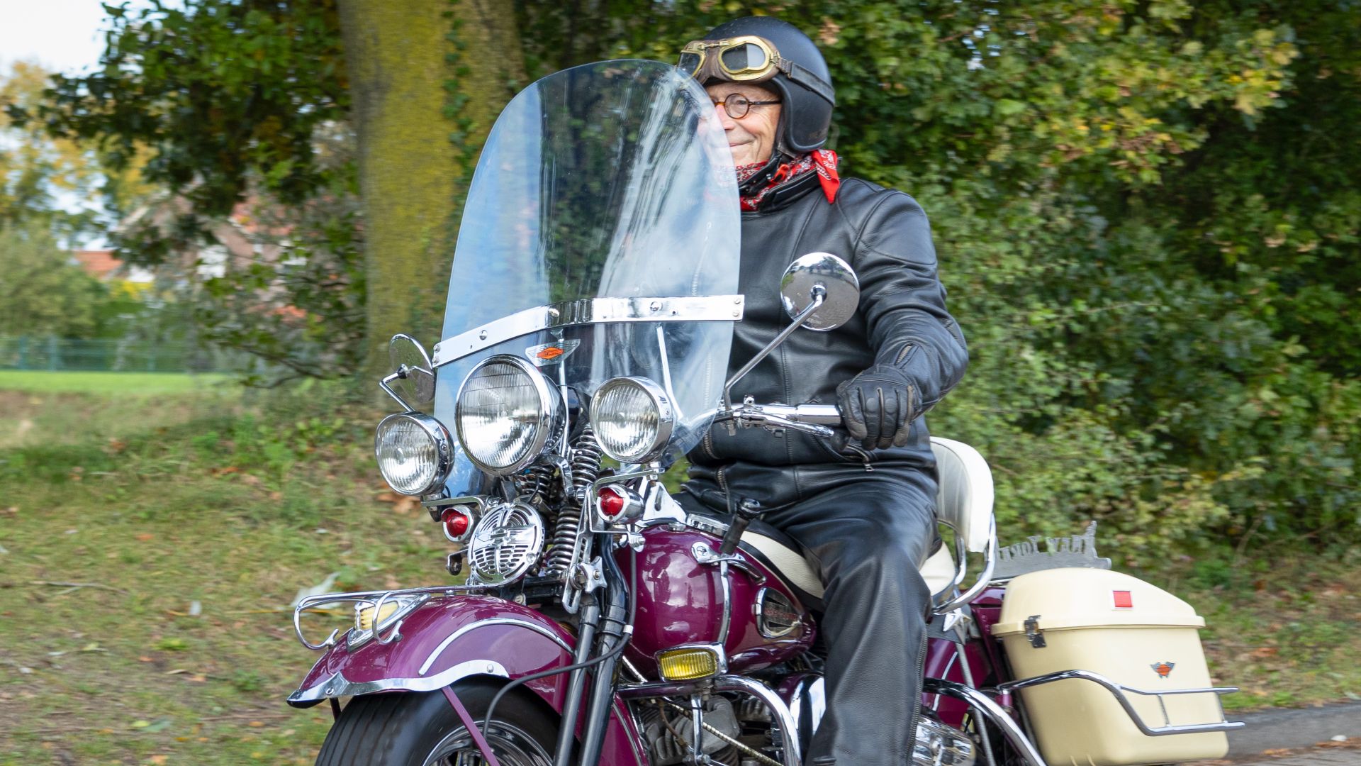 Brommers kieken in Gendt.
