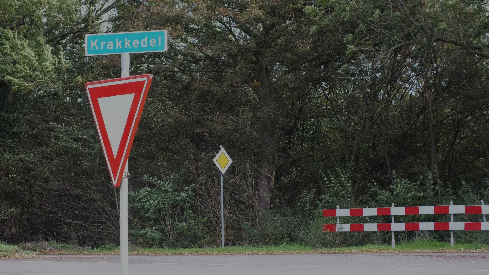 ‘Crashedel’ blijft gevaarlijk: ‘ik durf mijn hond niet meer uit te laten op straat’