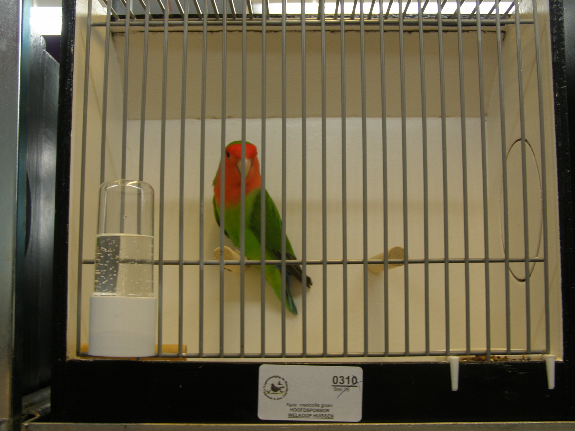 66e Onderlinge en regio vogeltentoonstelling