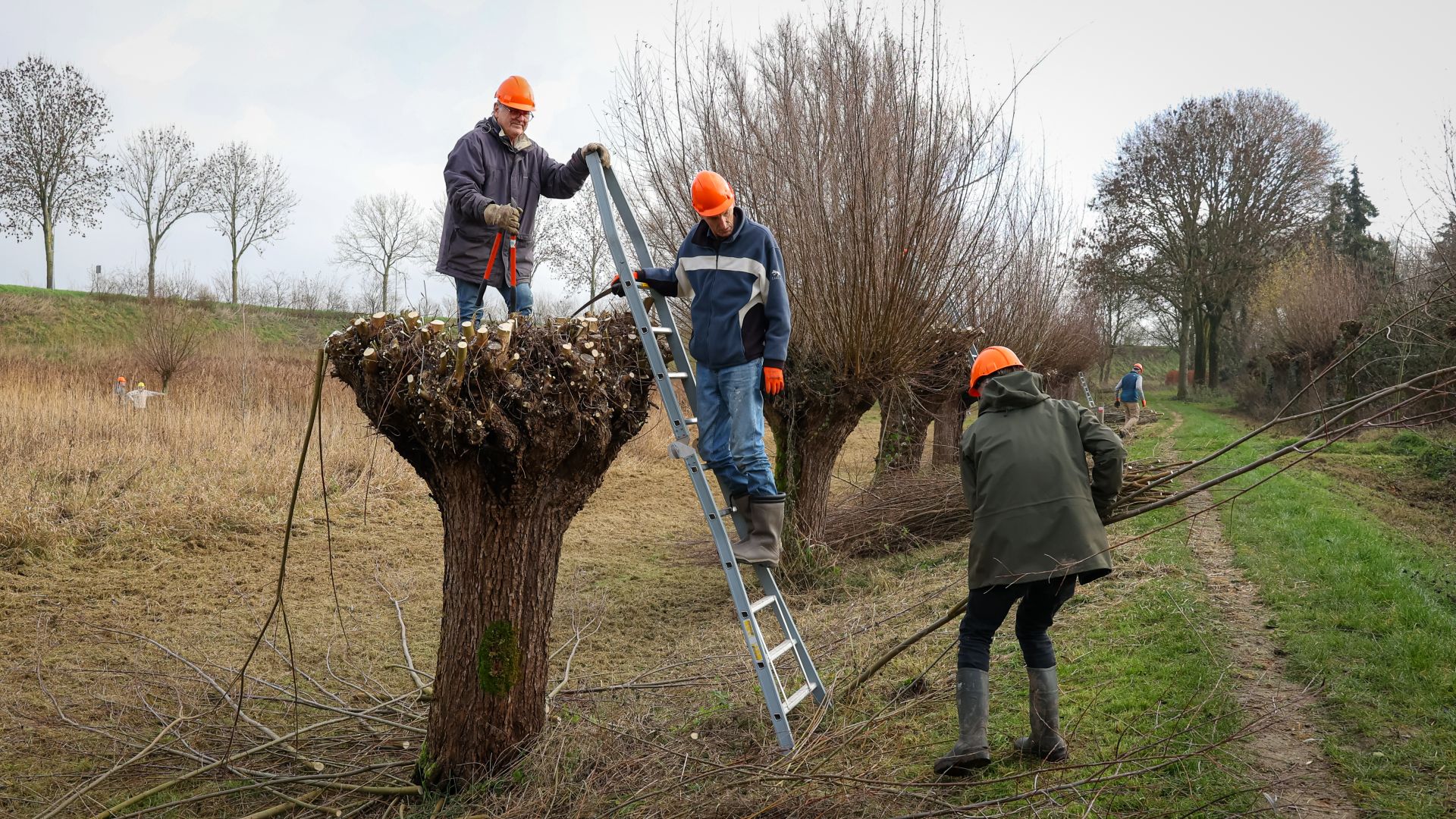 Knotploeg Huissen: met hart voor natuur en gezelligheid.