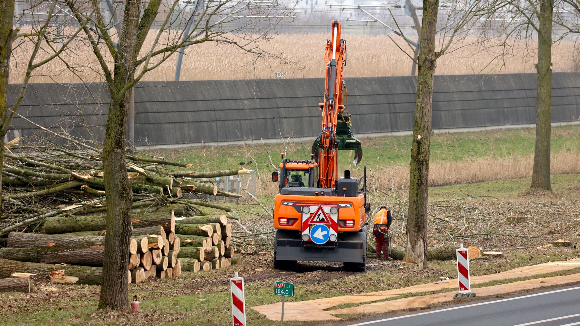 Bomenkap bij De Plak van start.