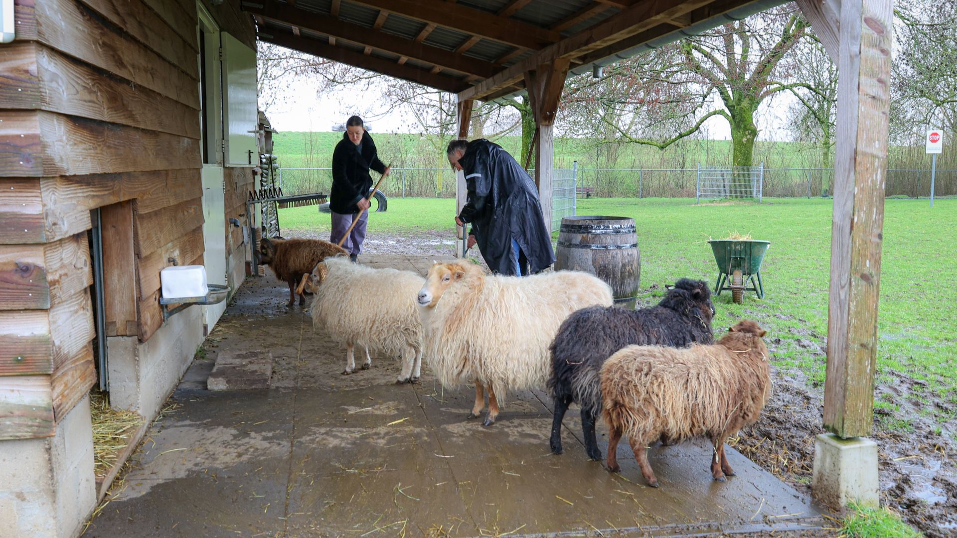 Vrijwilligers steken handen uit de mouwen bij NLdoet op Dierenweide Slingerbos