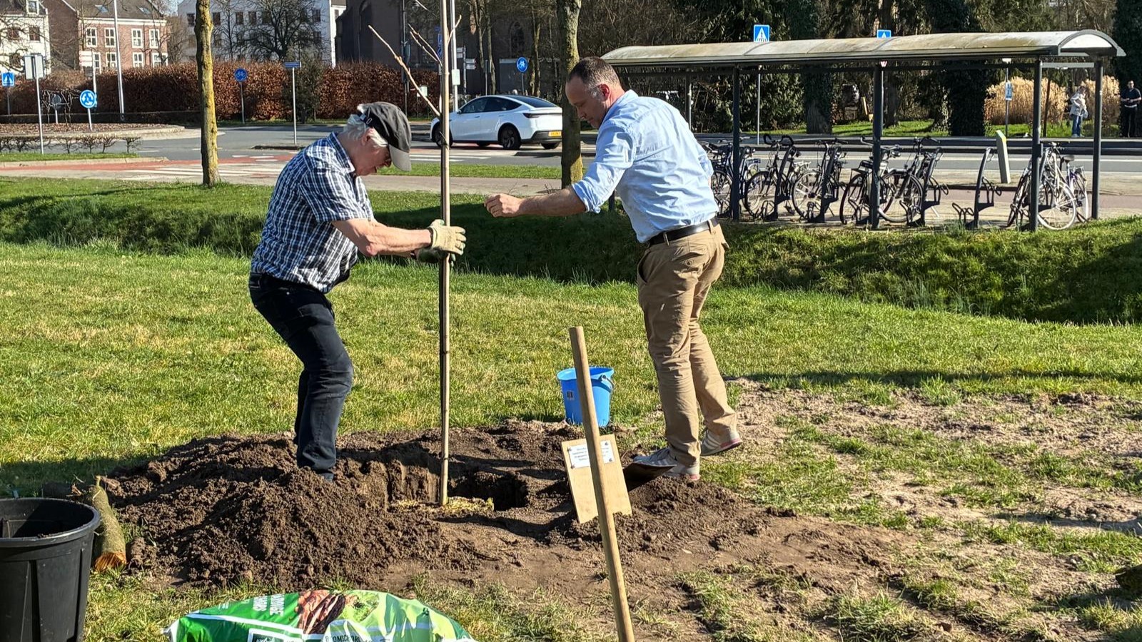 Bomen verbinden: lustrum Stichting Boomrijk Lingewaard