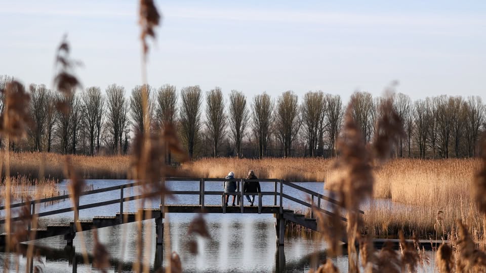 Vogelwandeling onthult verborgen natuur in Park Lingezegen