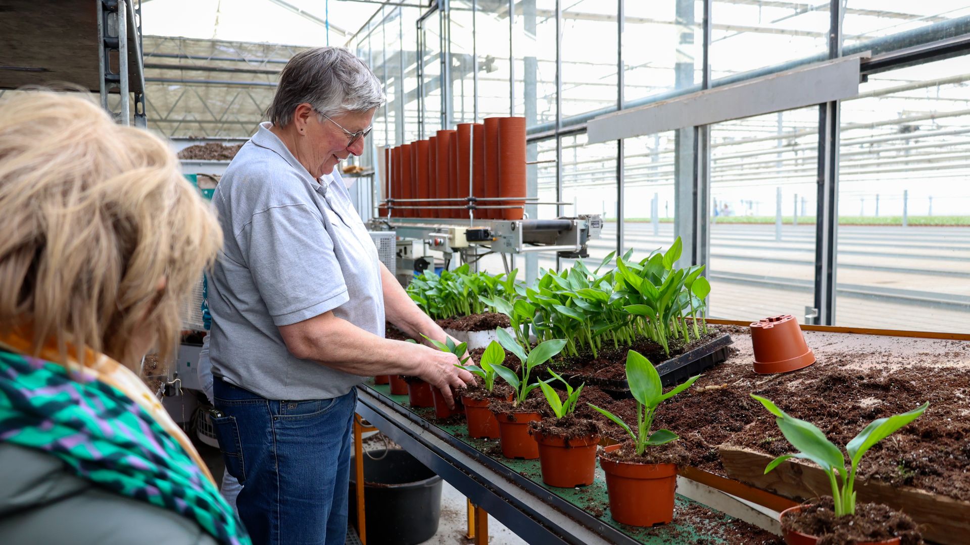 Kom in de Kas trekt veel publiek in regio Arnhem-Nijmegen.