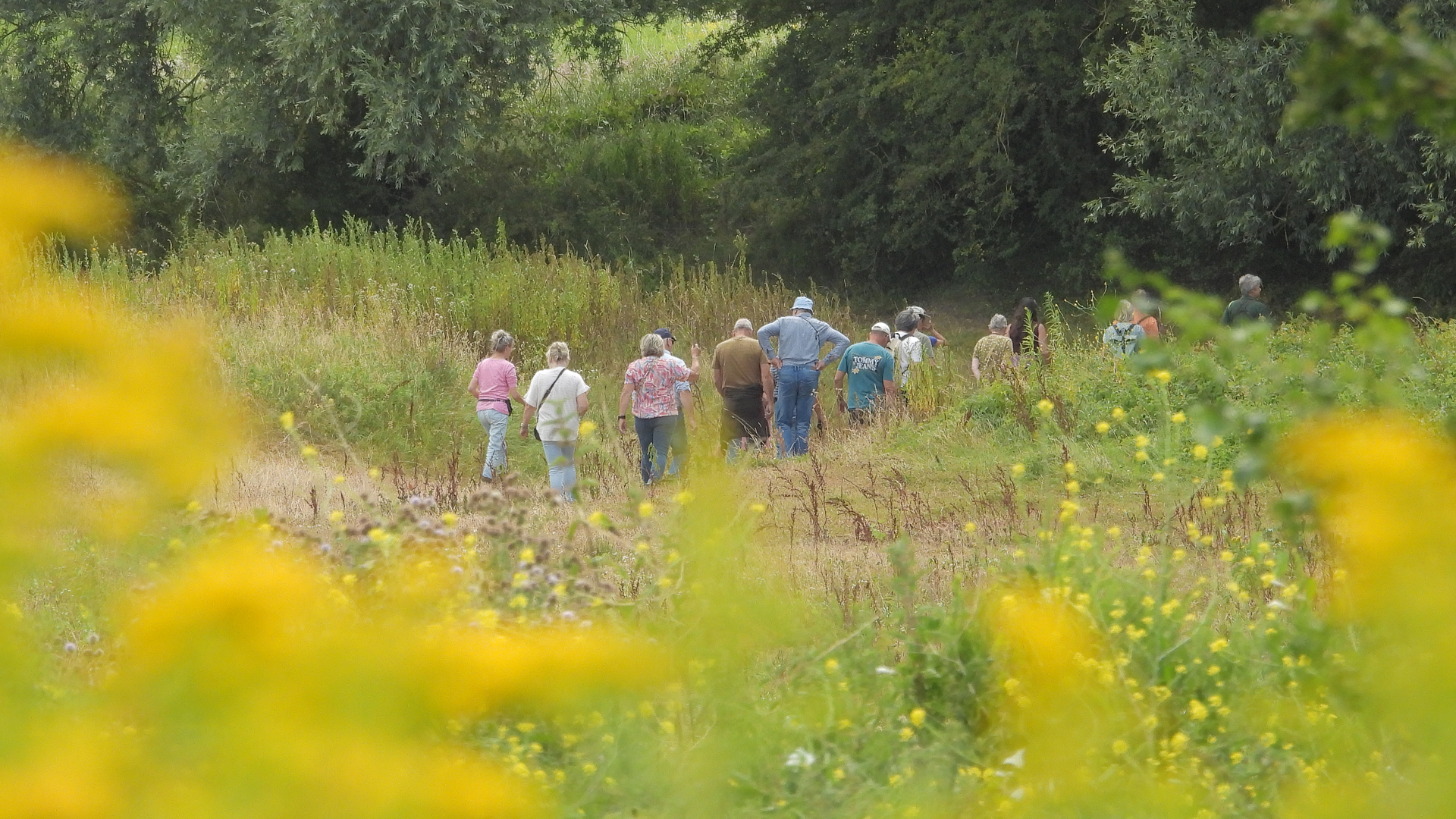 Grote belangstelling voor excursie stroomdalflora in Klompenwaard