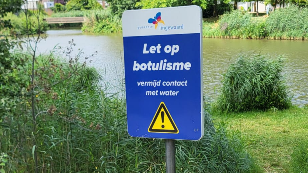 Gevaarlijk gif in Huissense visvijvers: ‘Raak geen dode vissen of vogels aan’