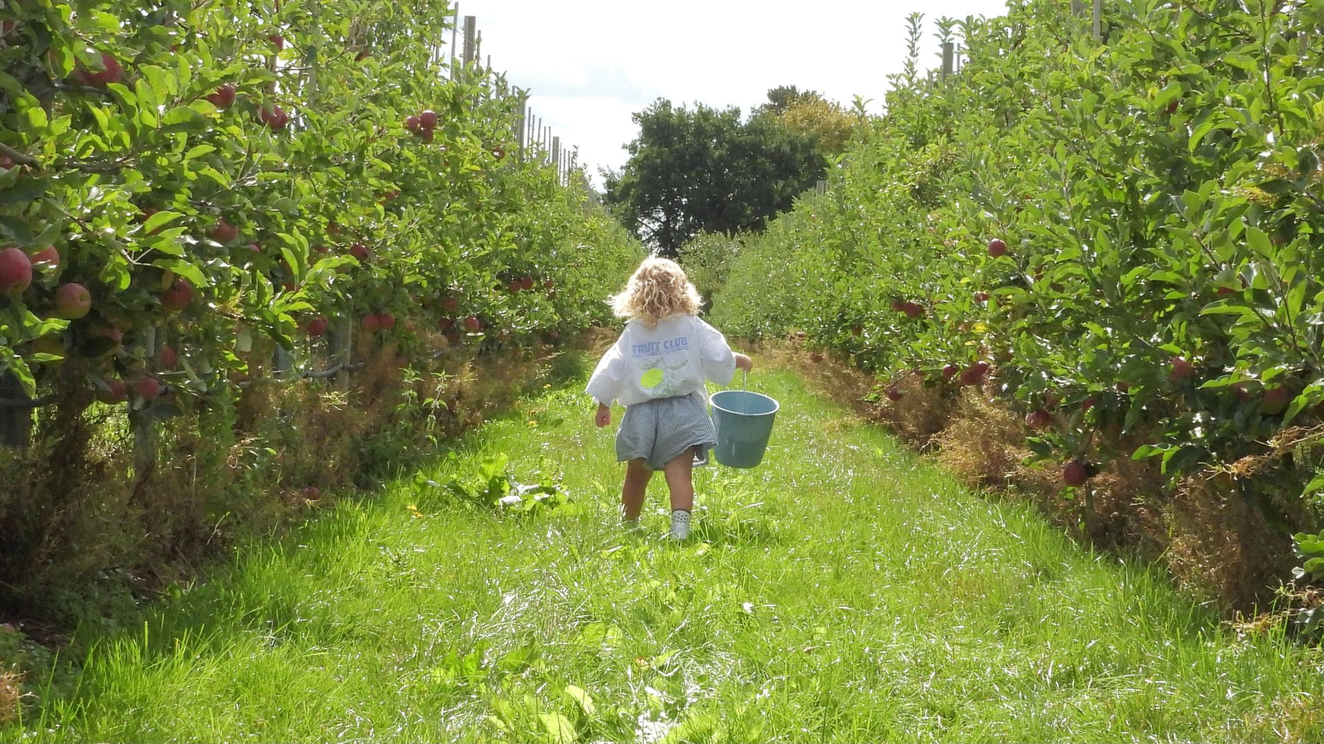 Appels plukken, proeven en genieten.