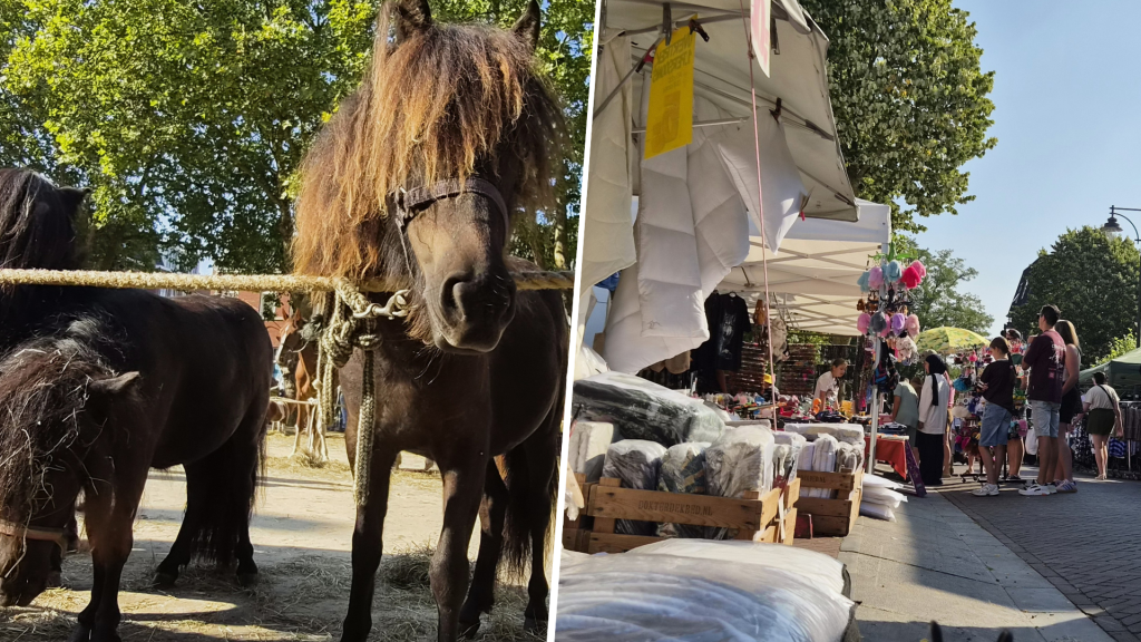 Ponymarkt Bemmel: dierenwelzijn en beleving staat centraal tijdens oude traditie